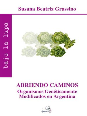cover image of Abriendo caminos